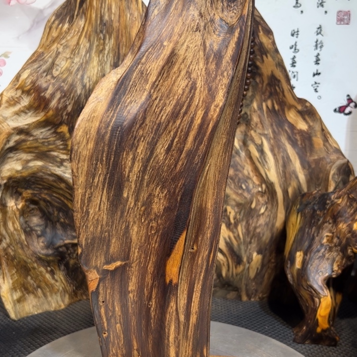 汐***者木直播间一物一拍