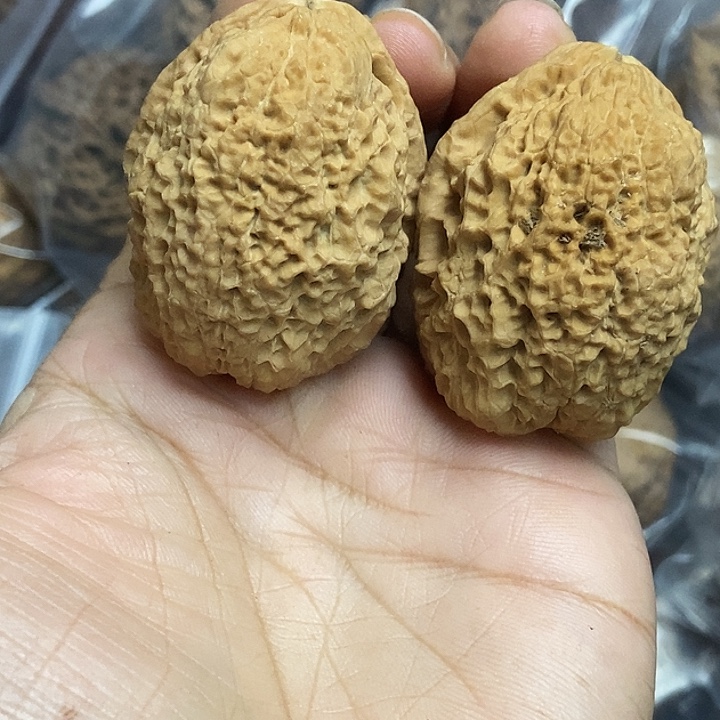 把件文玩核桃云南铁核桃基地3