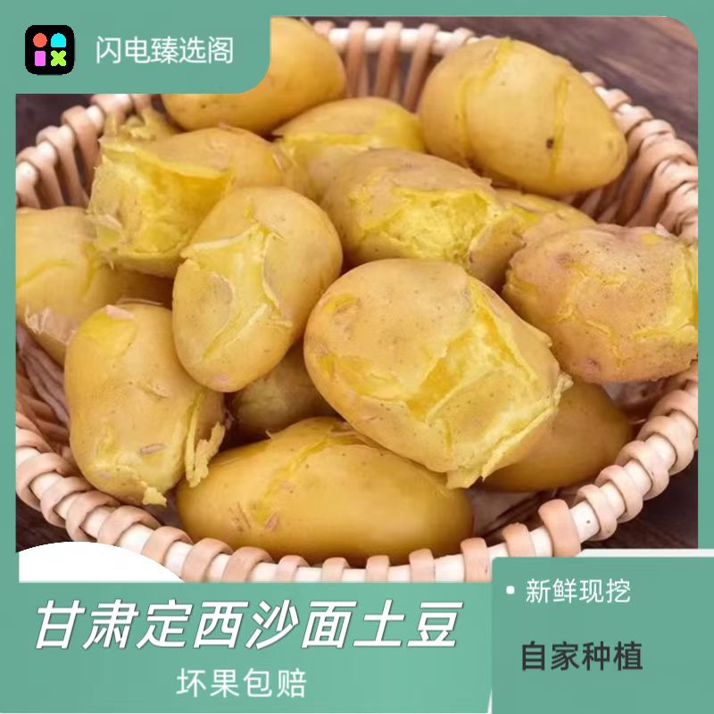 《秋风姐姐专属》甘肃定西高山原产地粗麻皮黄心土豆  新鲜现挖现发