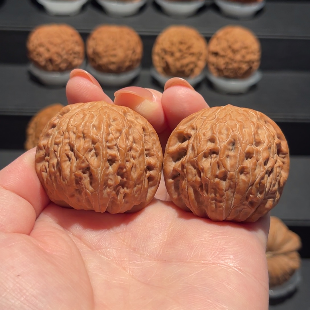 企***冰原桩，铁锤40精品，全品741