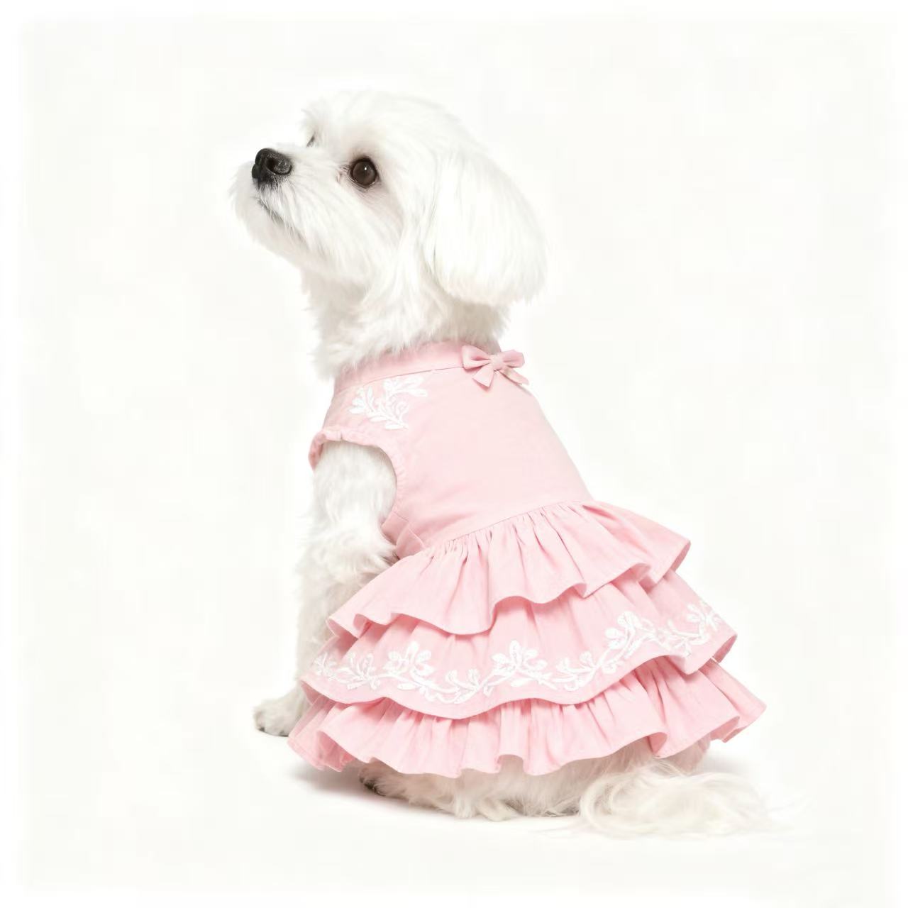 宠物衣服直播链接（直播间过款）No退No换