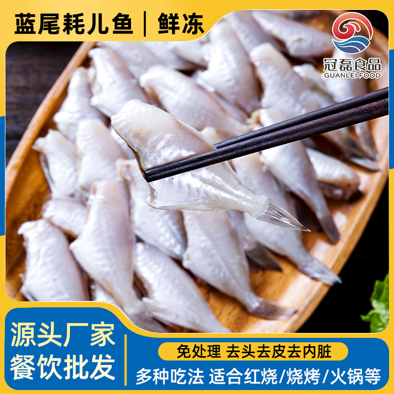 【小号】新鲜马面鱼耗儿鱼去皮去头无冰无水火锅干锅食材顺丰冷链