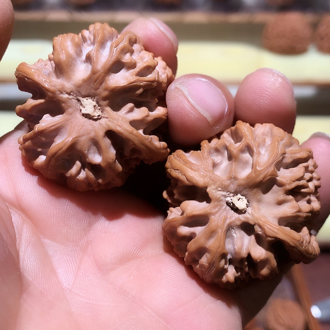 文玩核桃全品42+苹果园