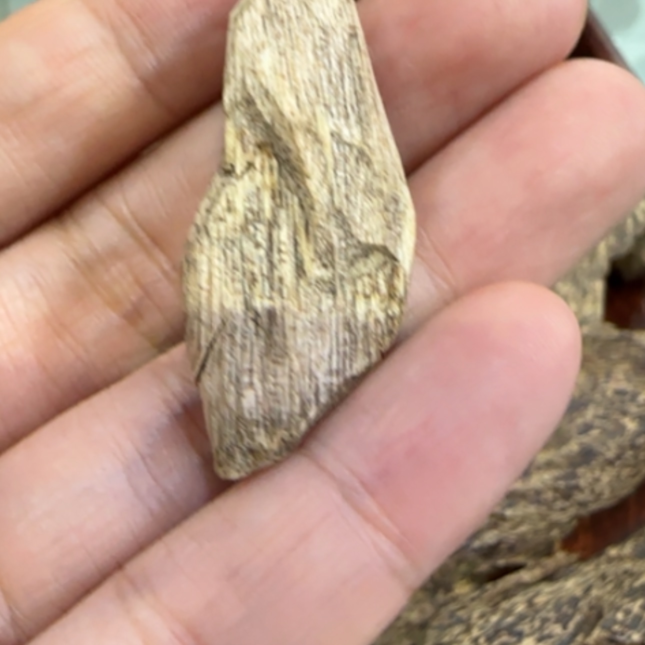 【闪购商品】沉香手串柬埔寨沉香料1.4克