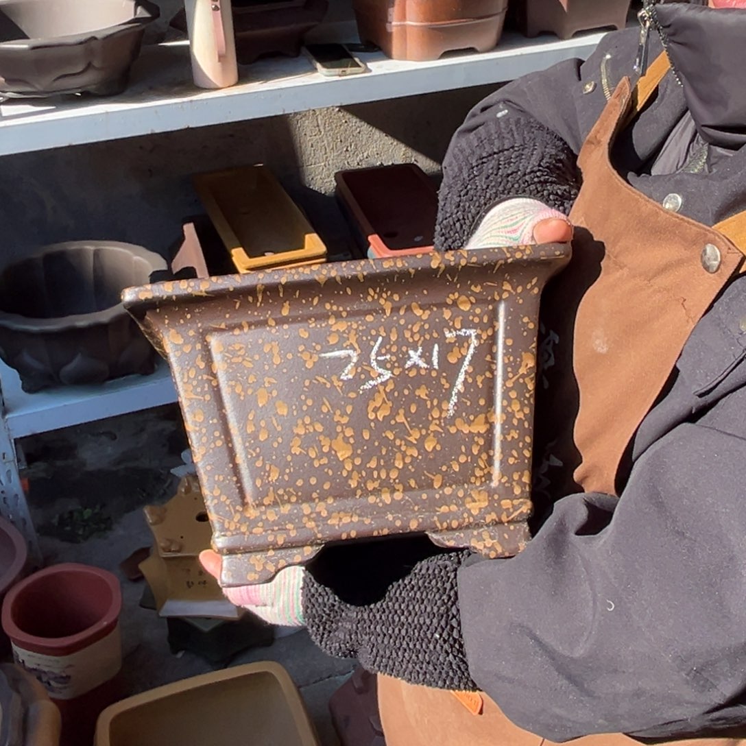 紫砂花盆盆景艺术