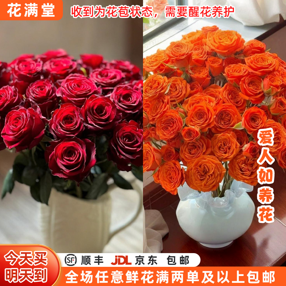 【次日达·爱人如养花】红玫瑰10枝芭比5枝·全场两单包邮·直发·批发·生活鲜花DIY次日达