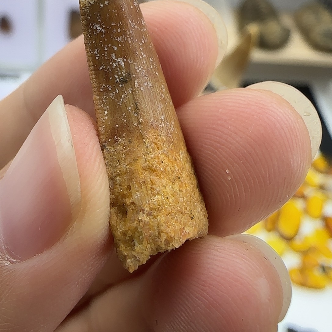 琉璃/树脂/塑料类