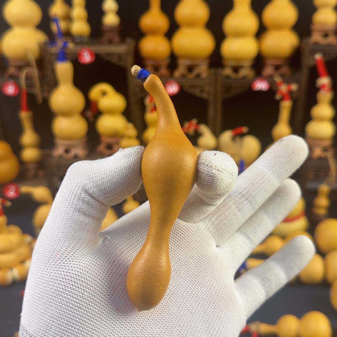 7号老皮小辣椒异形蚂蚁