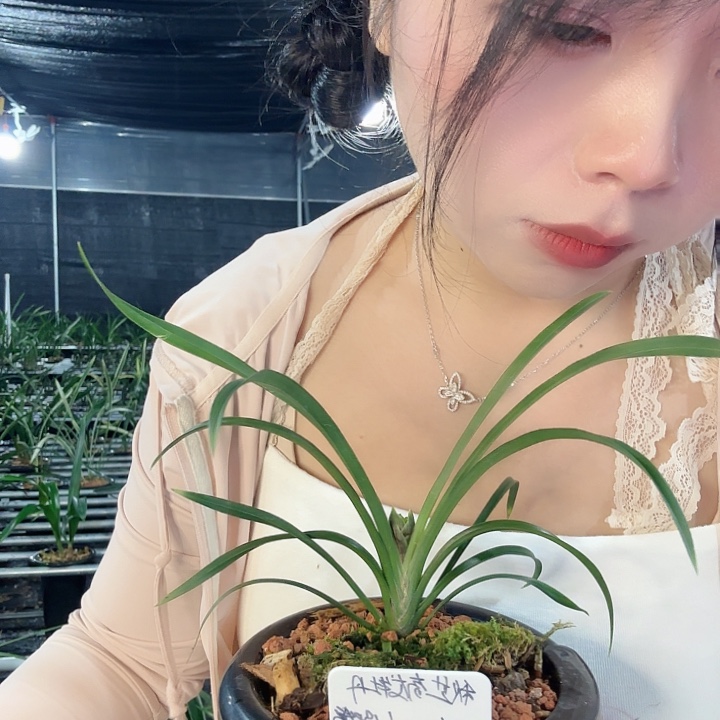 用***0完全开放秋芝秋芝秋芝