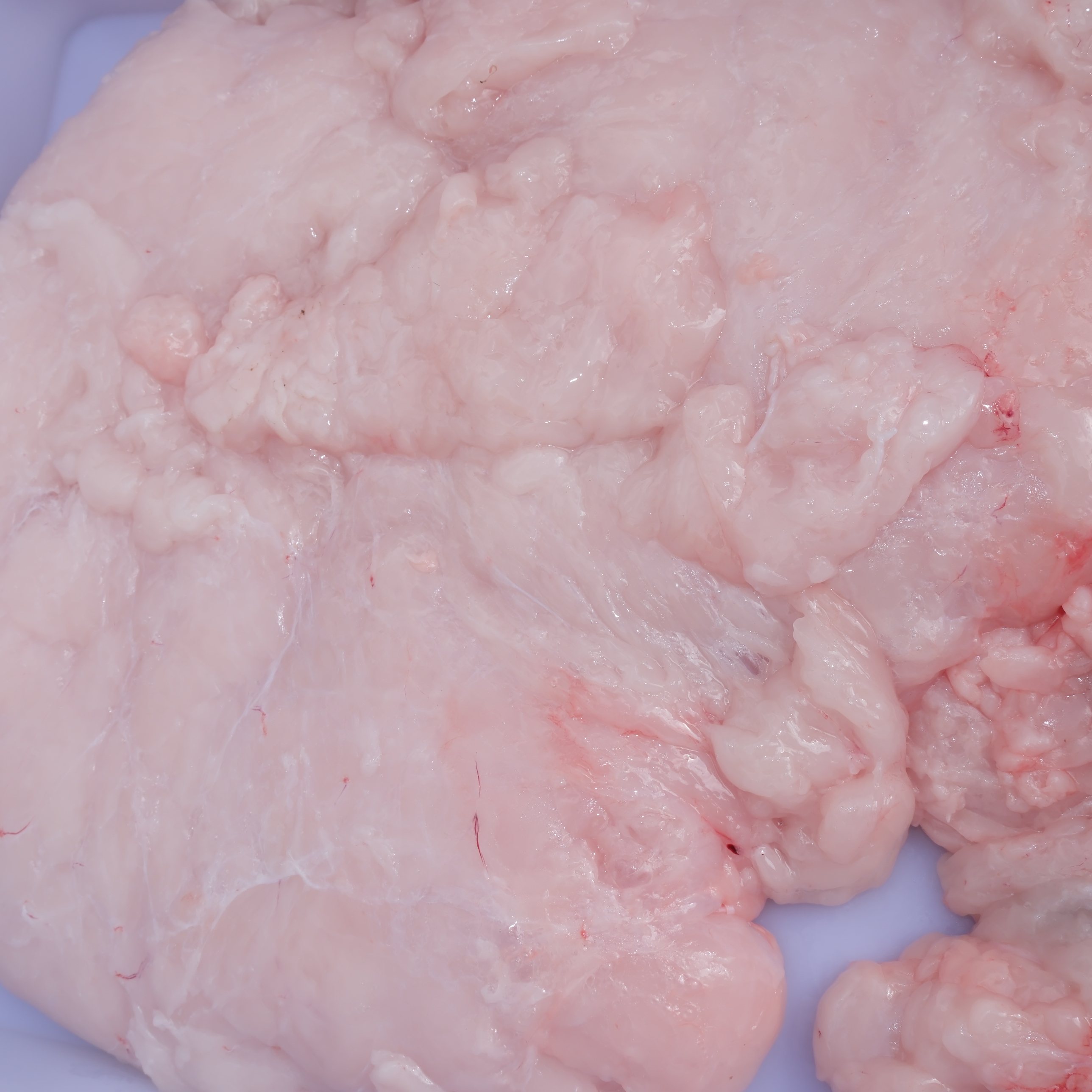 （7号链接板油肥膘）恩施巴克夏猪跑山土黑猪【板油肥膘】顺丰包邮