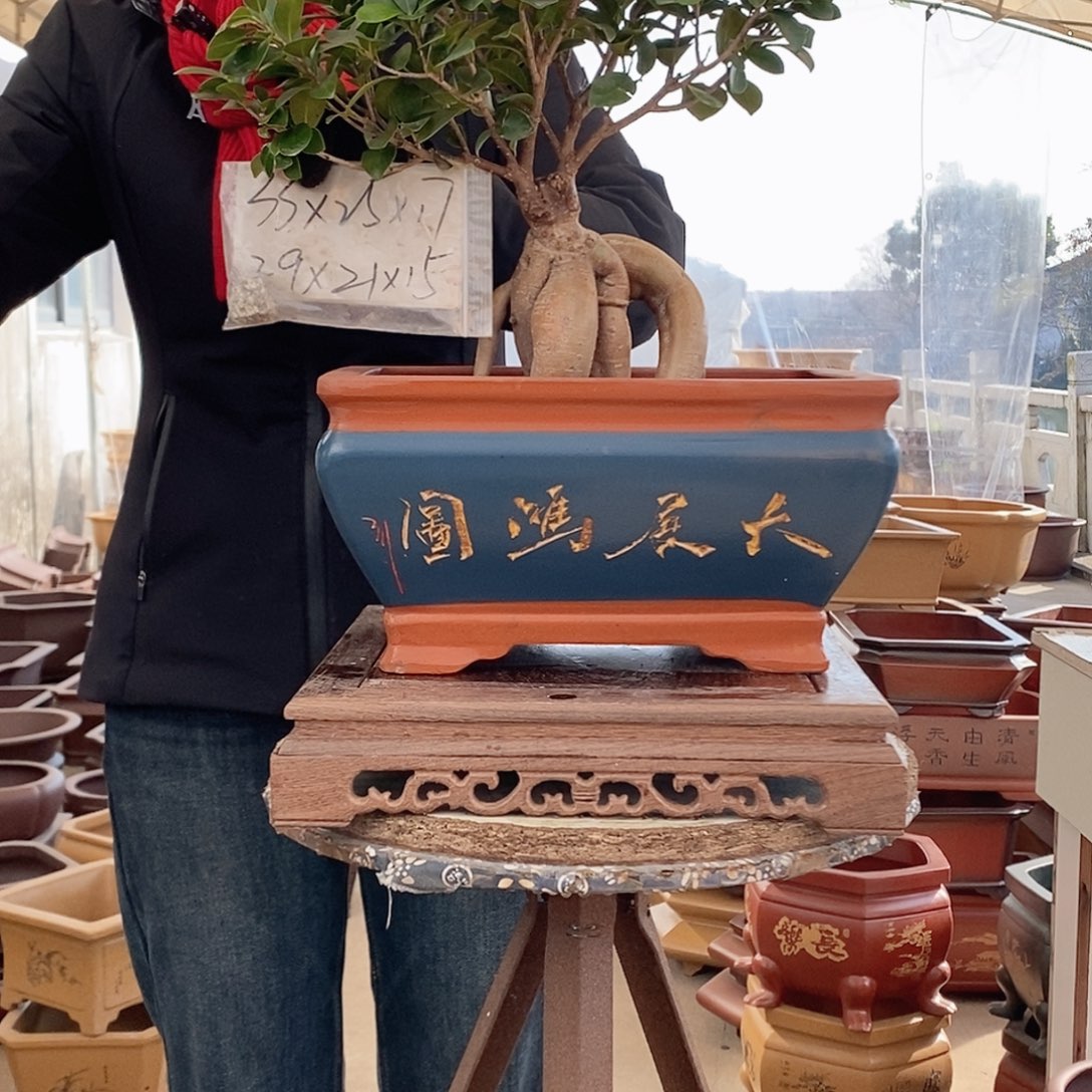 紫砂花盆紫砂花盆