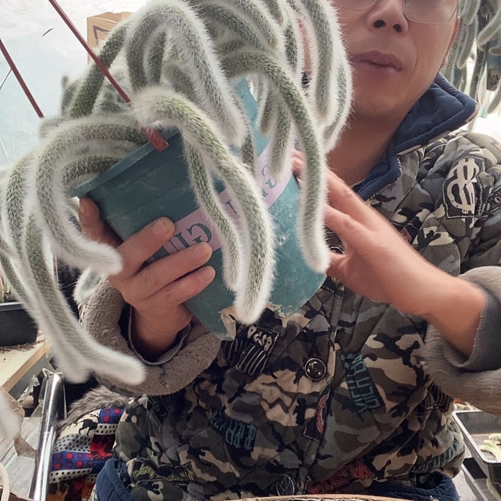 一物一拍手机后四位