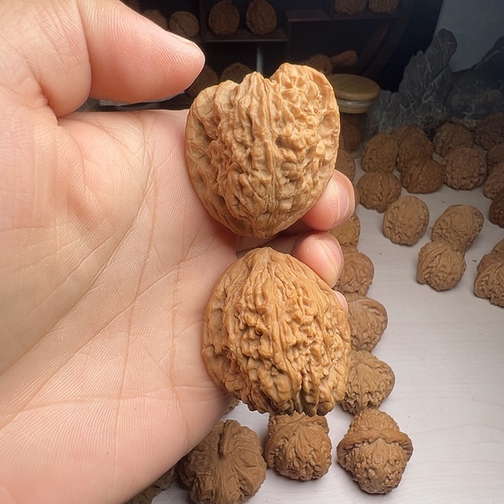 南疆石头天残脚狮子头