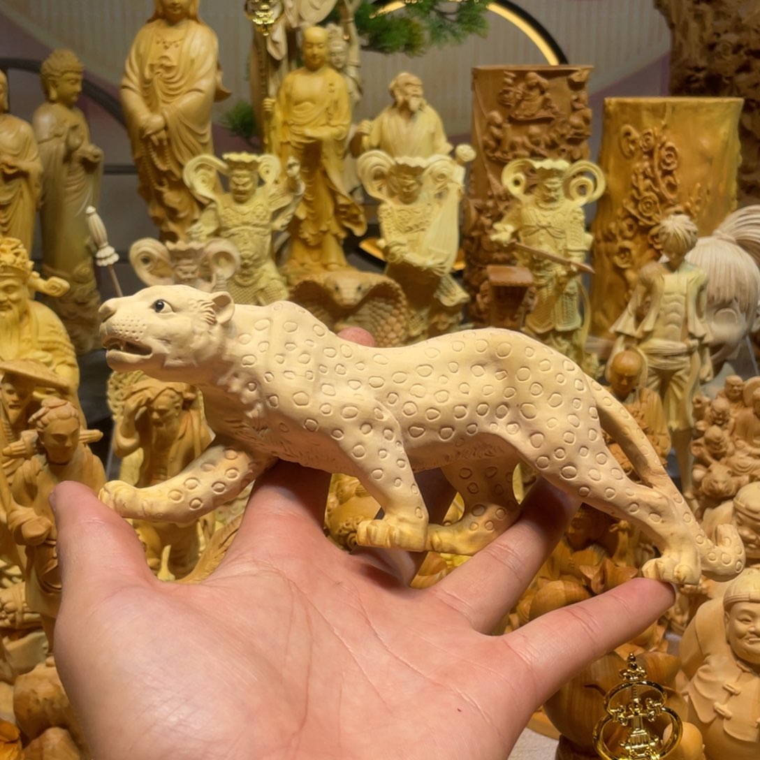 黄杨木黄杨木金钱豹