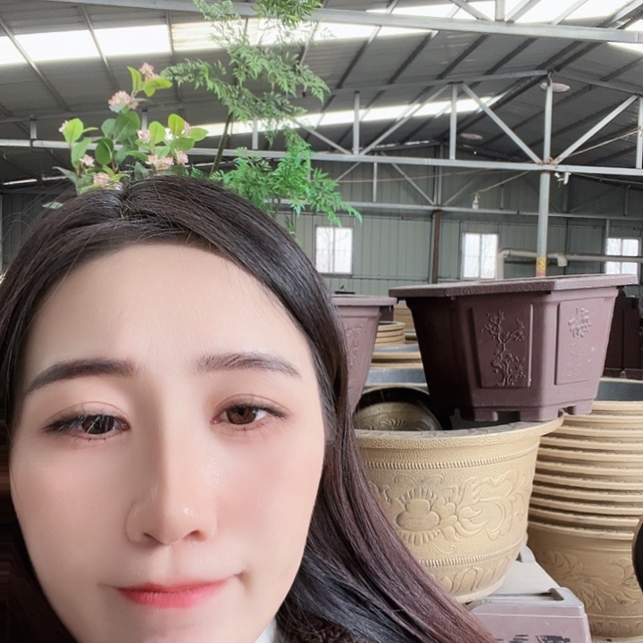 八角40口径花盆三个