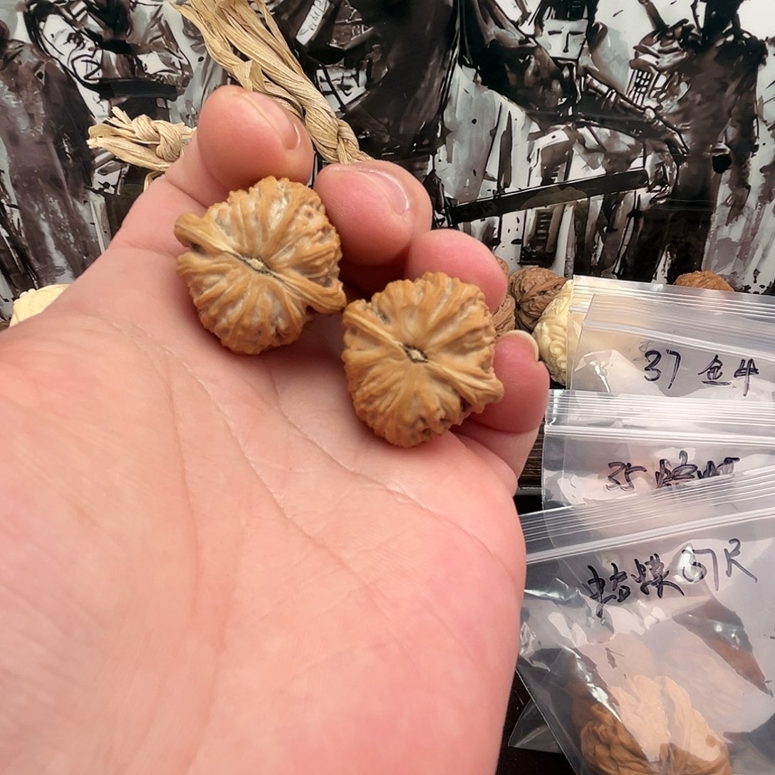 泰***罗把件文玩核桃白狮子手捻29尺