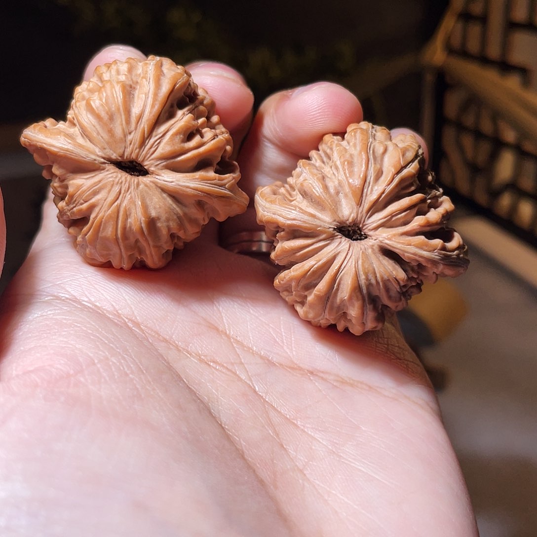 核桃手串/手链38尺汉高楼全品无修