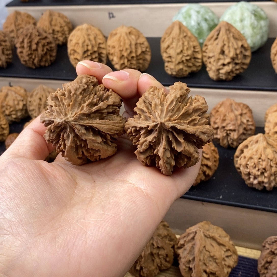 發***哥文玩核桃把件霸王花42