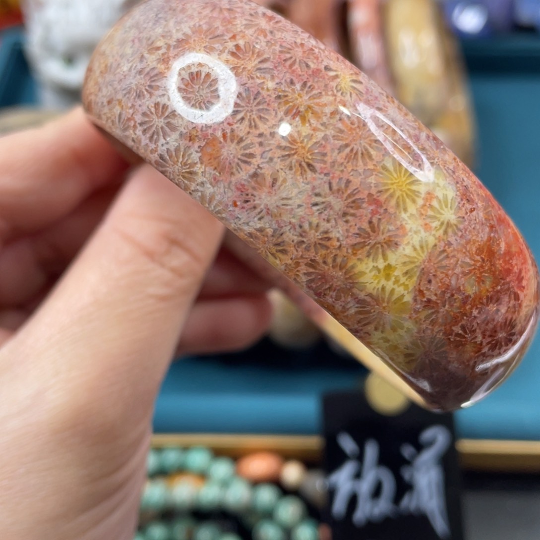 未镶嵌手镯硅化玉