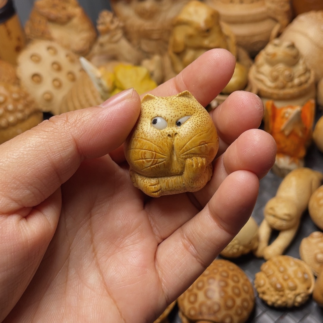 竹兮*寶好玩的主要托腮小猫