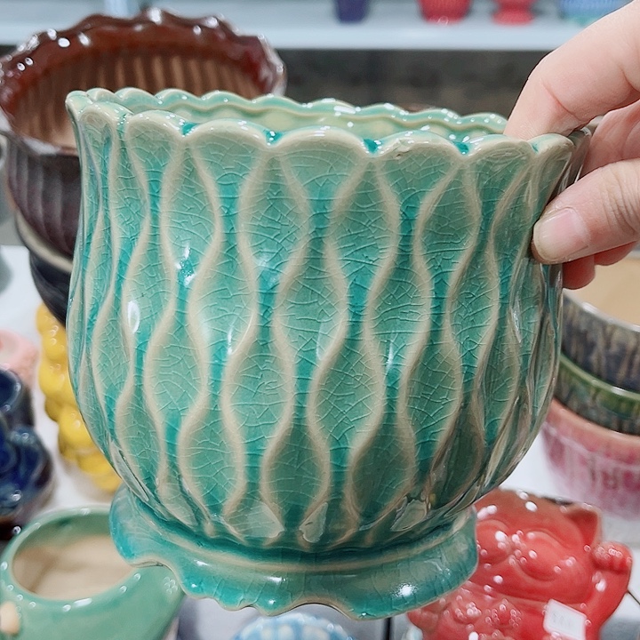 多肉花盆满10元包邮