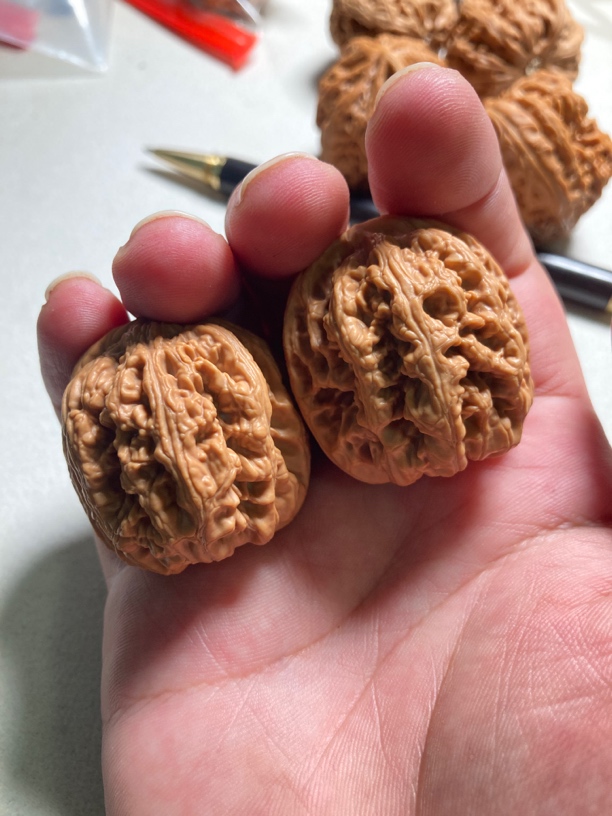 大粗筋边37+肚38+高39尖微修