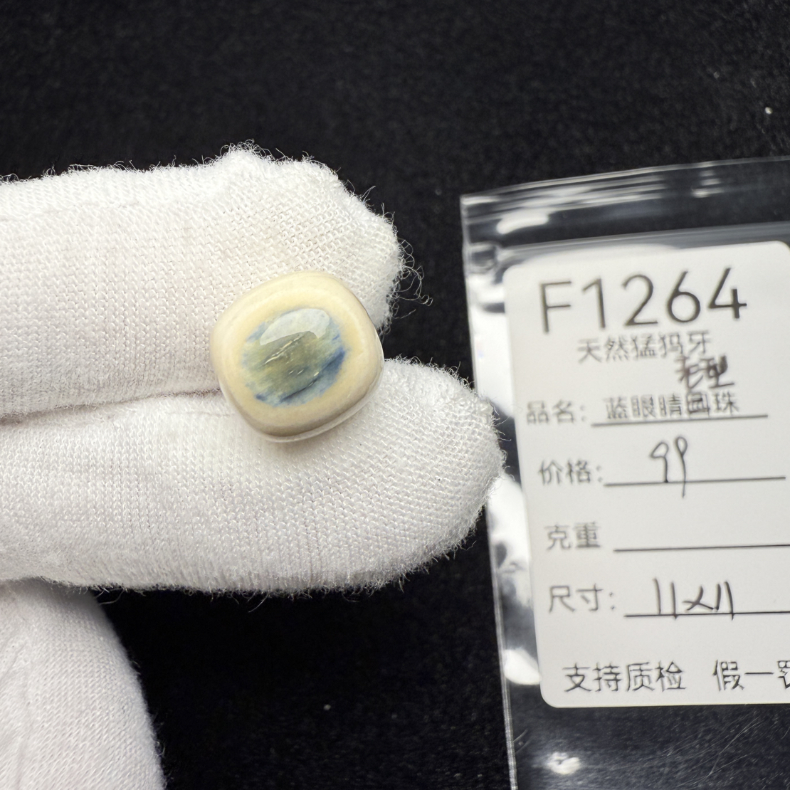 F1264天然猛犸象牙蓝皮老型桶珠墩子顶珠配珠配饰11*11mm