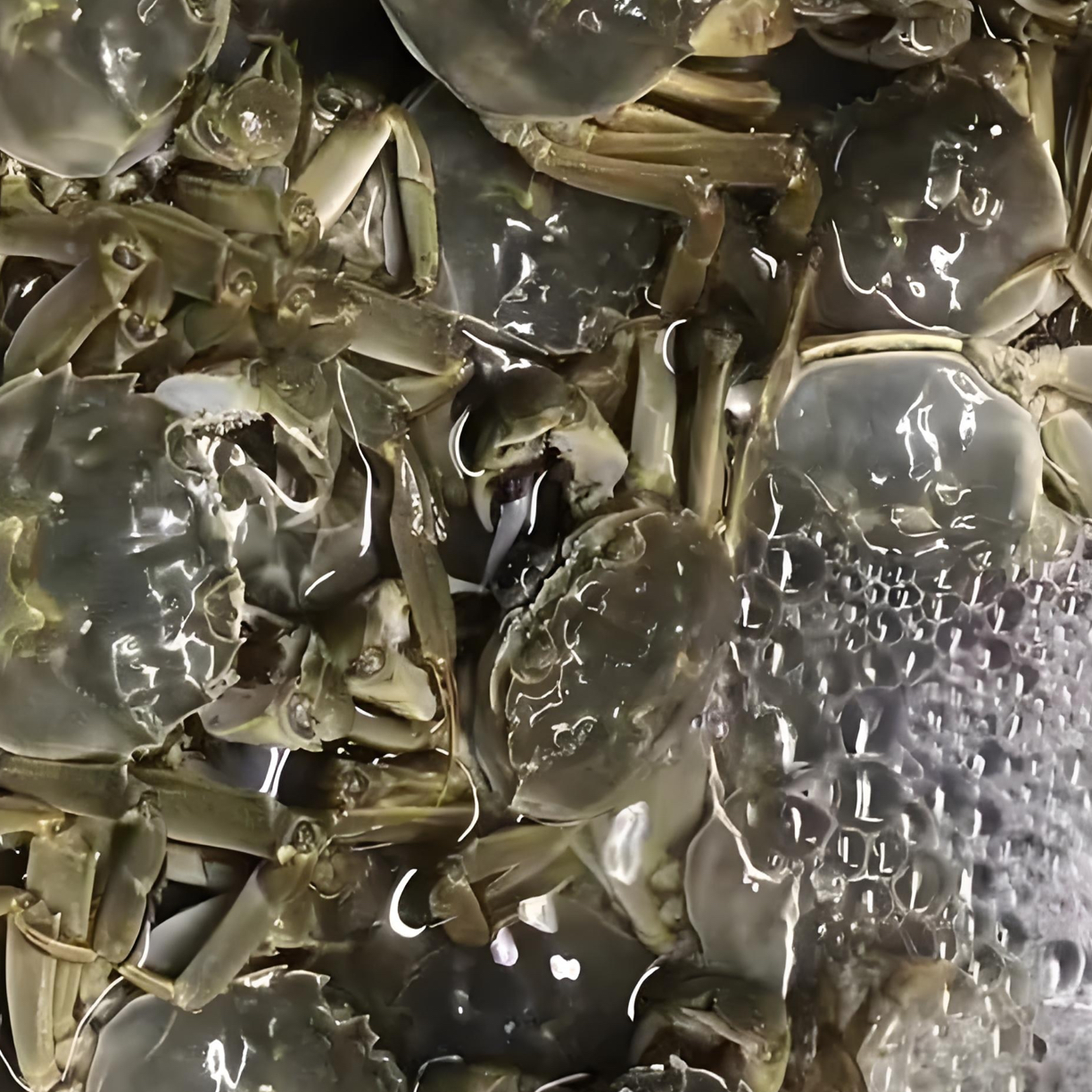 【活蟹】河蟹大闸蟹稻田蟹公蟹4两2-3斤6-9只母蟹2两2-4斤4-28只