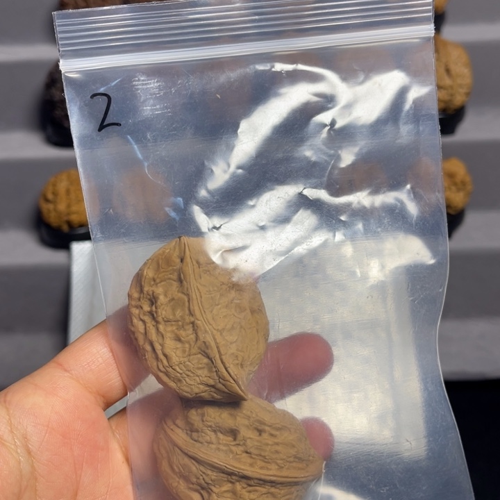 豫***械文玩核桃把件1-02