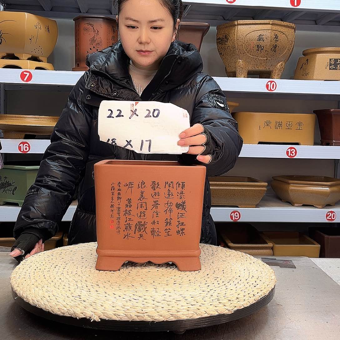 紫砂花盆紫砂花盆里