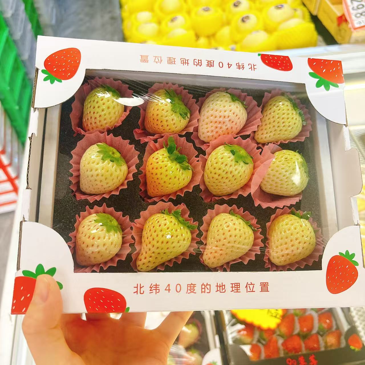 淡雪草莓400g山东省