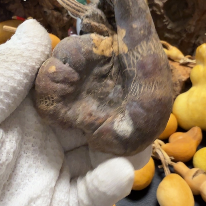 热***圆666767666767777778