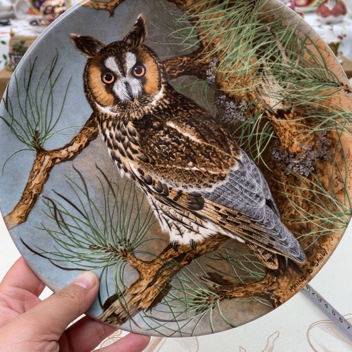 盘维多利亚欧洲中古