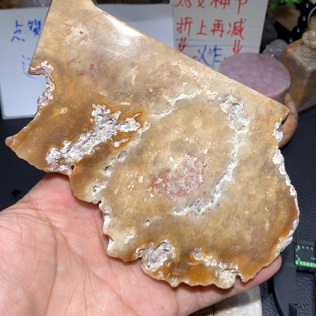 【闪购商品】硅化玉颈饰未镶嵌