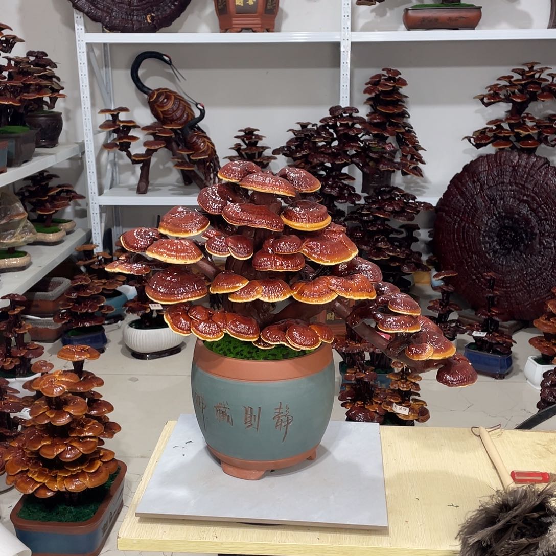 无花朵888888888788888