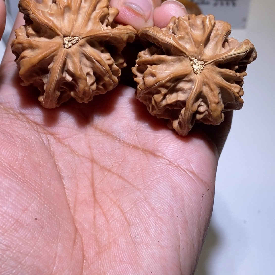 通***透核桃手串/手链三棱