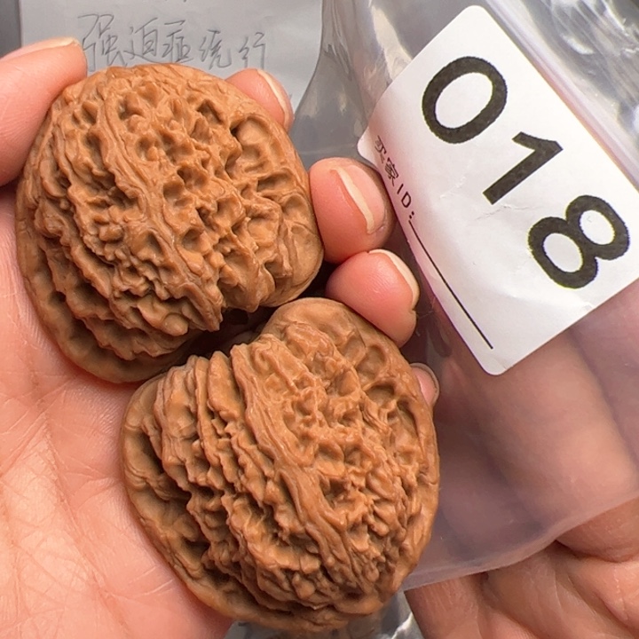 核桃43尺南疆石018号