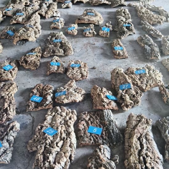 江***哥完全开放顺顺利利，平平安安