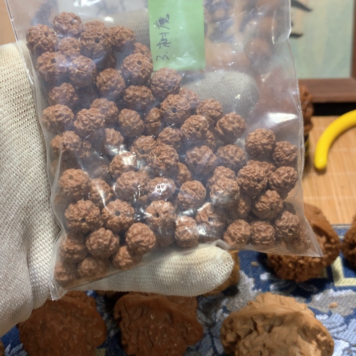 騑***哈哈哈哈哈哈哈哈哈