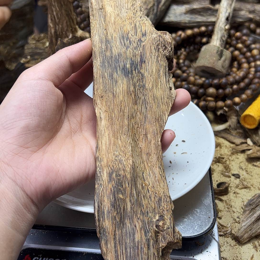 木绿奇楠虫漏84克