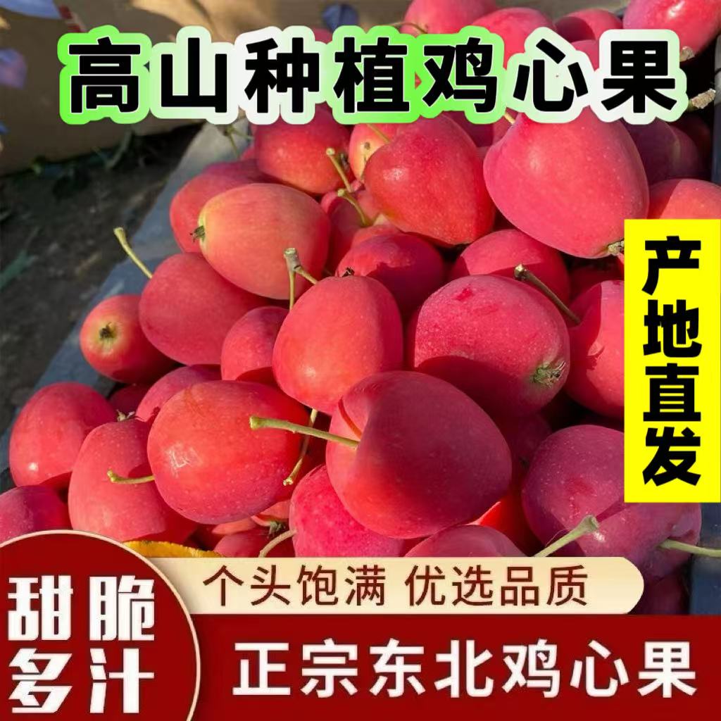 【爆款】正宗东北鸡心果新鲜现采现摘酸甜脆爽当季水果整箱包邮
