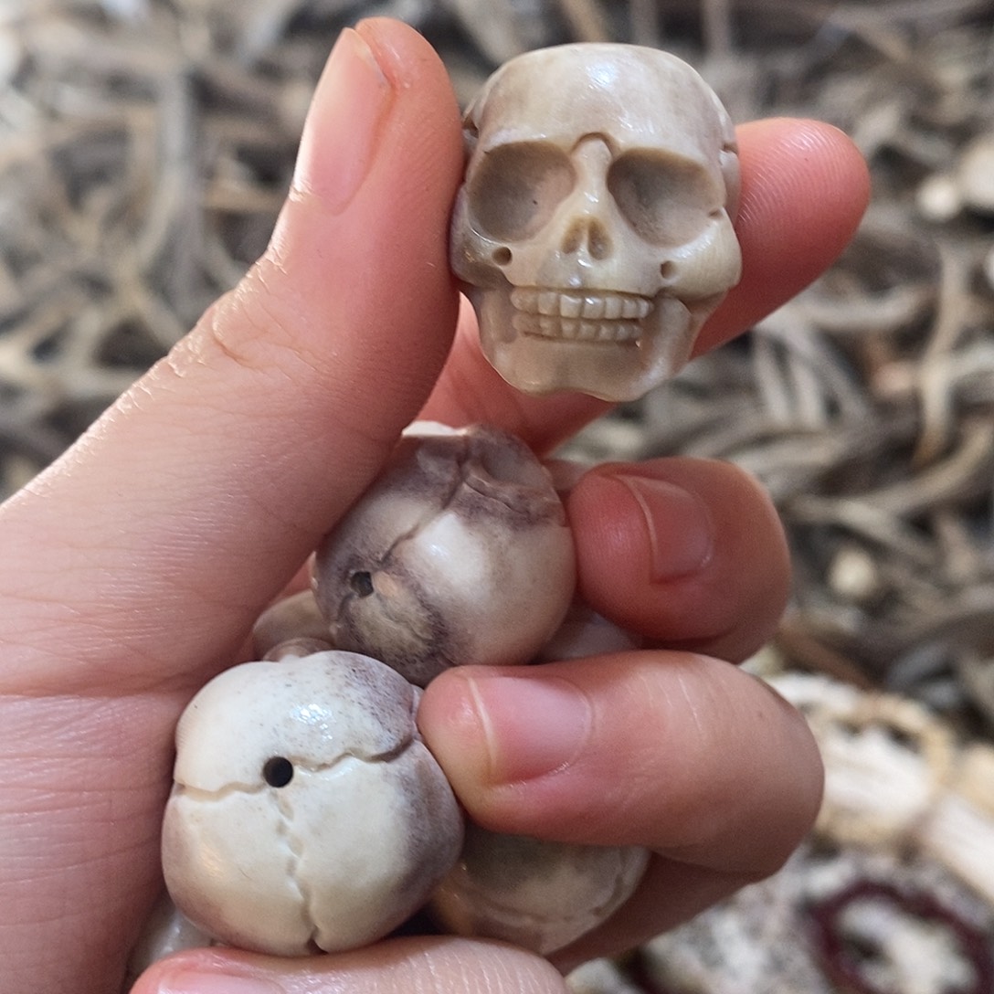 非金属鹿角鹿角鹿角