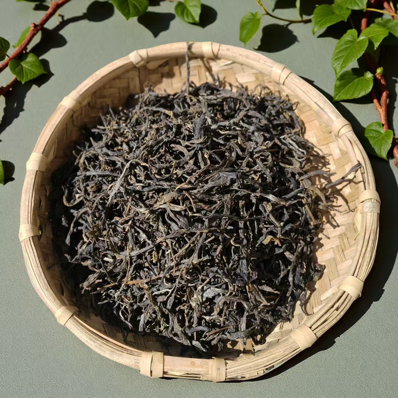 【大朝山专场】2024年 罗小茶家 团田头春古树挑采 普洱生茶 散茶