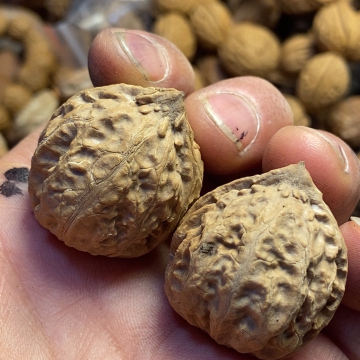 吊坠桃核东北特产115