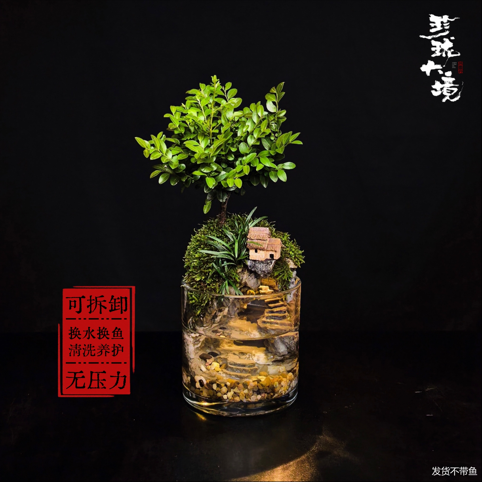 [步步高升Ma]丛林紫檀带灯可拆洗绿植国风摆件鱼缸12*12cm