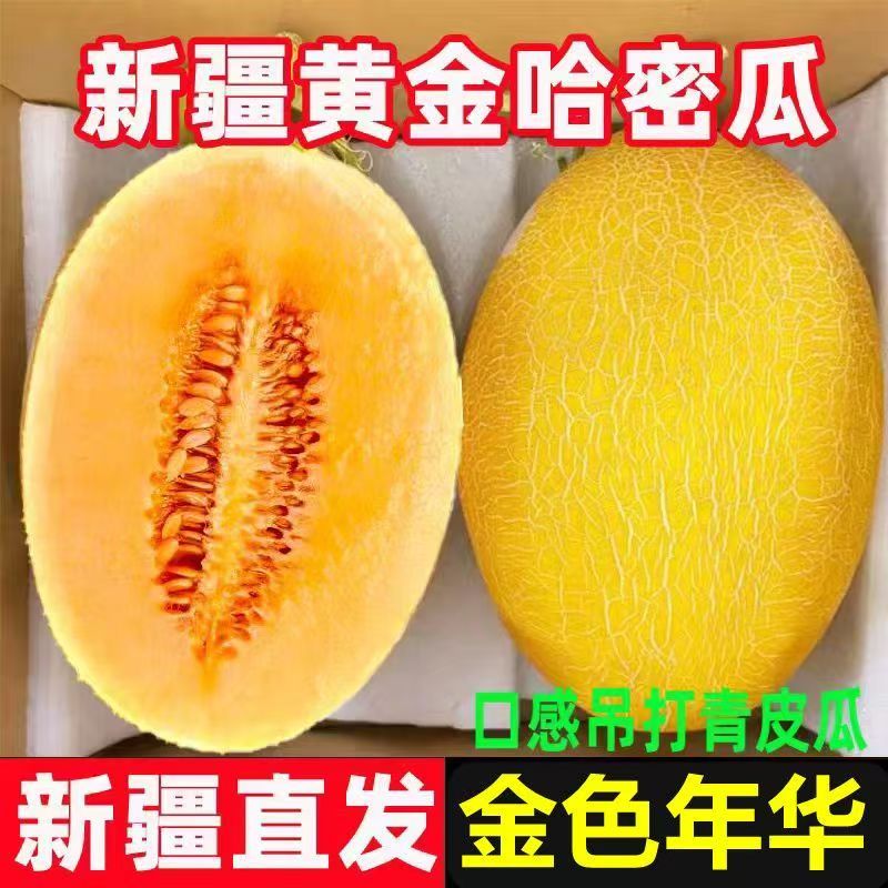 新疆吐鲁番黄金哈密瓜当季新鲜现摘脆甜多汁Z