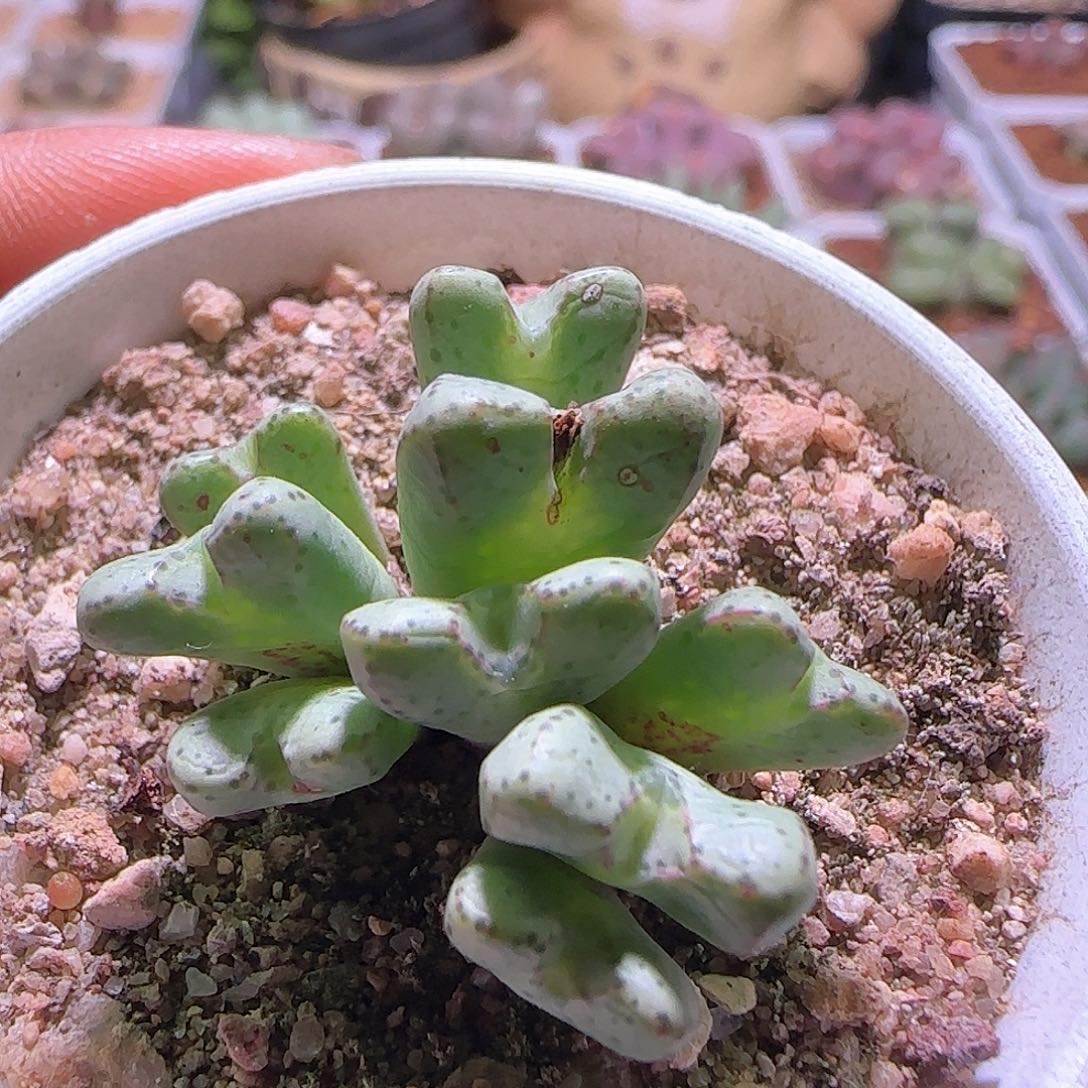 哈哈哈哈哈哈哈247