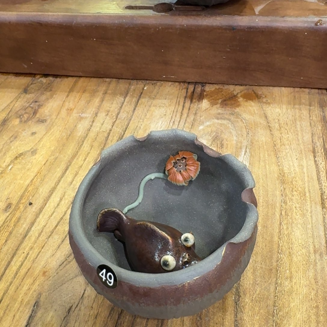 陶瓷呀呀呀呀呀呀呀呀