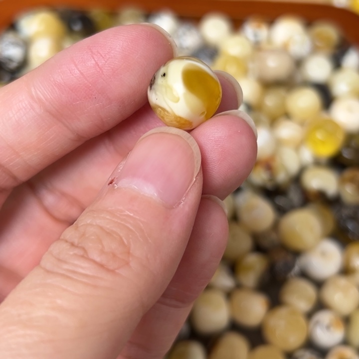 蜜蜡未镶嵌裸石12.3mm一个