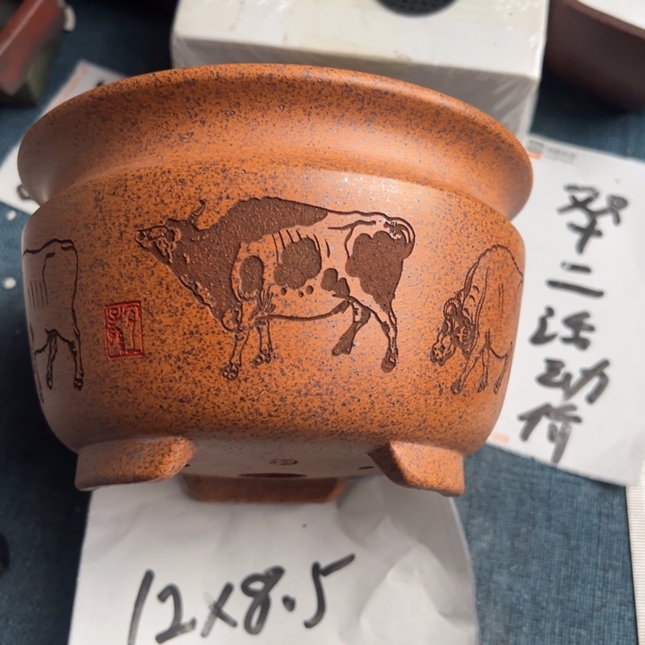 呜呜呜太好看太好看花